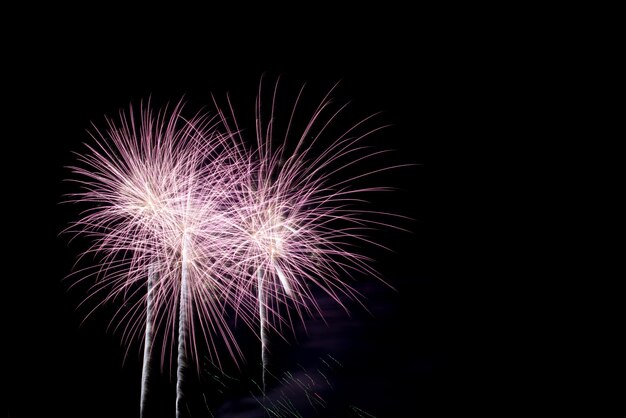 Colorful fireworks in night sky