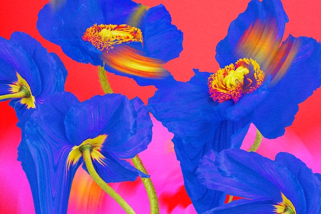 Free photo colorful flower background wallpaper, trippy aesthetic design