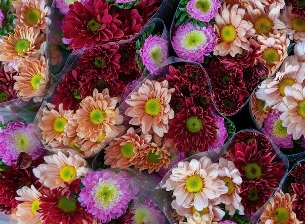 Free photo of colorful flowers for sale during daytime