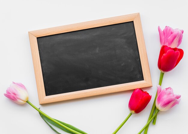 Colorful fresh flowers on stems with chalkboard