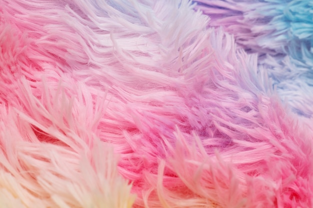 Free photo colorful fur close up detail