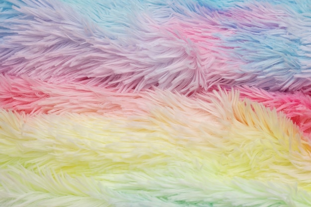 Free Photo colorful fur close up