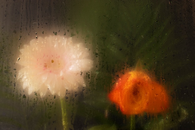 Colorful humidity glass