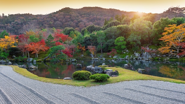 Free photo colorful leaves in autumn park, japan.