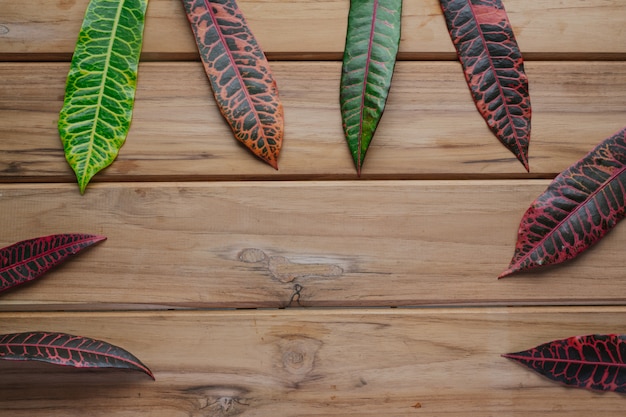 Colorful leaves placed on a brown wood scene.