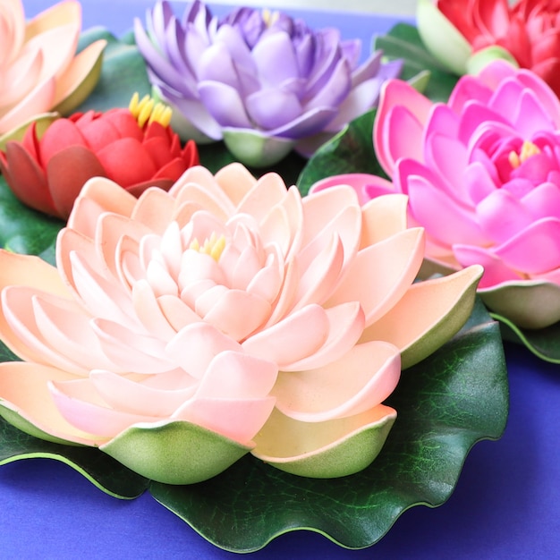 Colorful Lotus Flowers Background