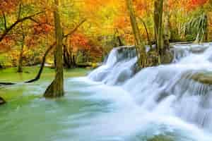 Free photo colorful majestic waterfall in national park forest during autumn