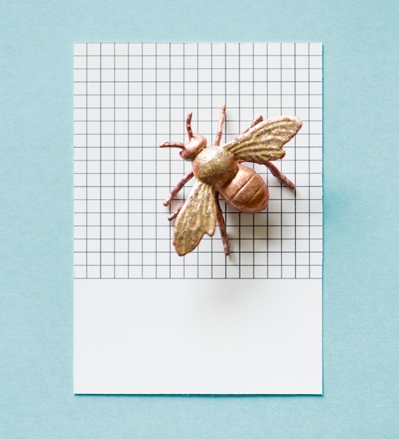 Free Photo colorful miniature fly on a paper