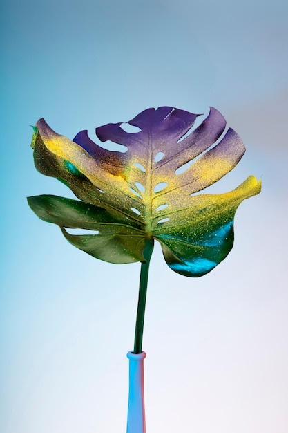 Free photo colorful monstera leaf in vase