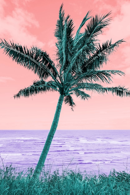 Free photo colorful retro landscape in vaporwave style