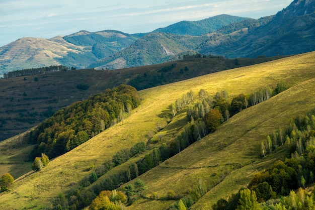 Free photo colorful shot of the ponor valley, alba, apuseni mountains, carpathians