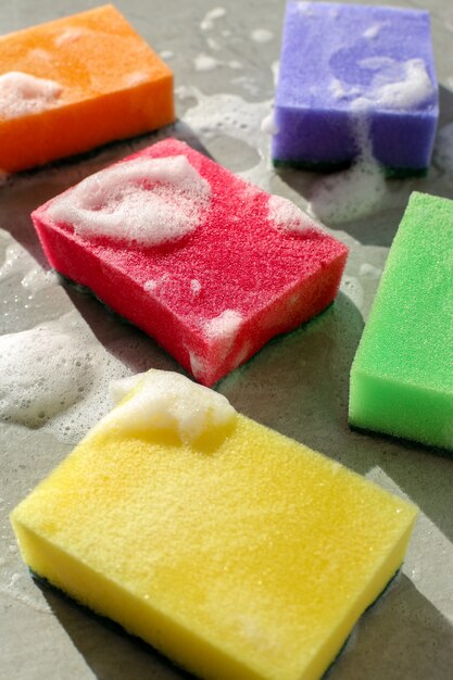 Colorful sponges