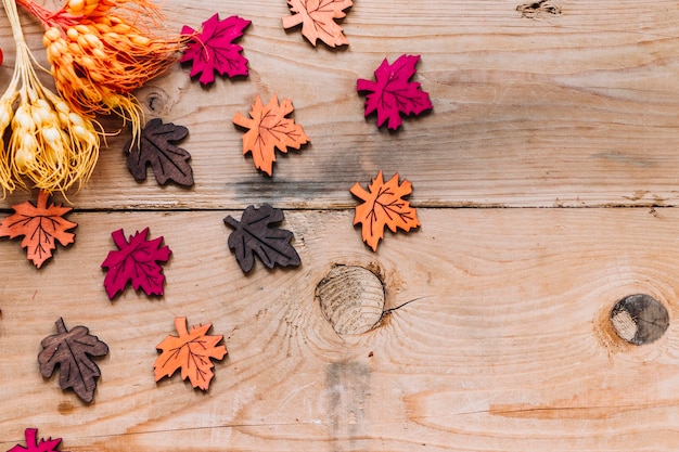 Free photo colourful leaves with branches