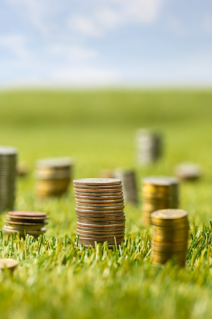 Free photo columns of coins on grass