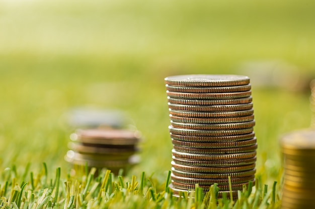 Free photo the columns of coins on grass