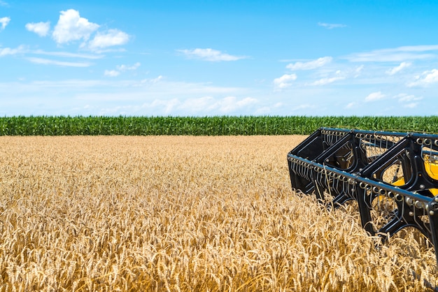 Free photo combine harvester working in the field