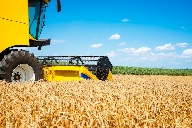 Free photo combine harvester working in the field