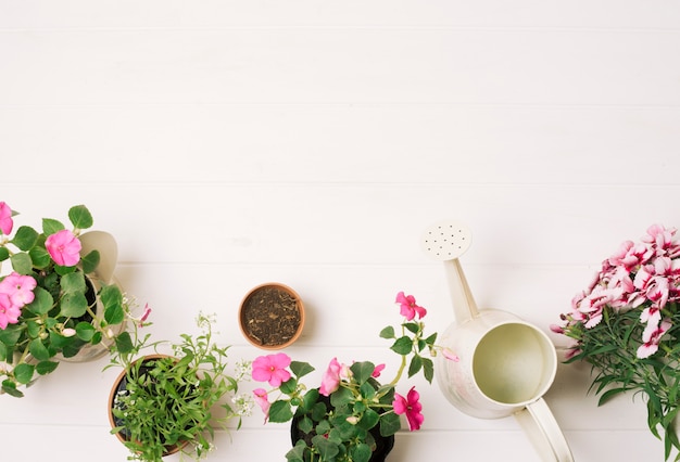 Free photo composed flowerpots with watering pot