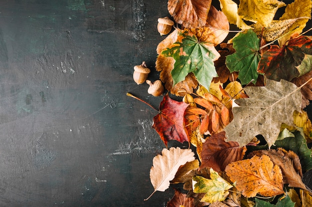 Composed leaves on blackboard