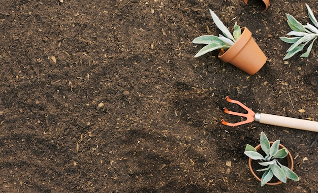 Composed rake with flowerpots on ground