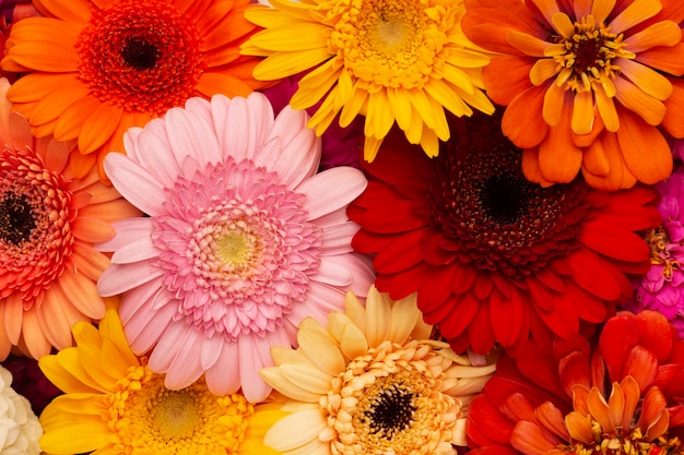 Composition of beautiful flowers wallpaper