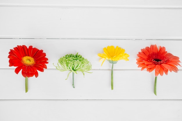 Free Photo composition of cut flowers