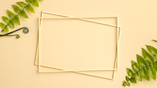 Composition of green leaves with empty frames