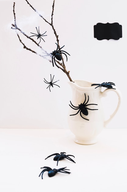 Free Photo composition of spiders and jug with branch