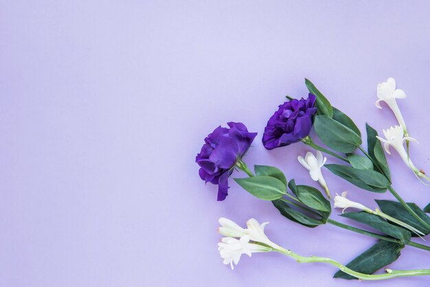 Composition of white and blue flowers