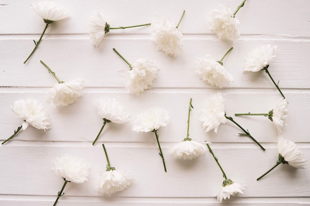 Free photo composition of white flowers over a white wooden top