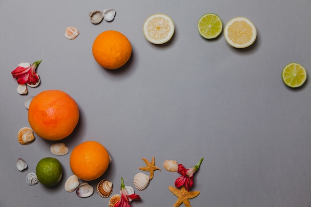 Free photo composition with citrus fruits, shells and flowers