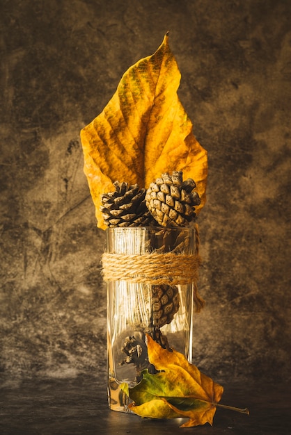 Free photo composition with cones and withered leaves