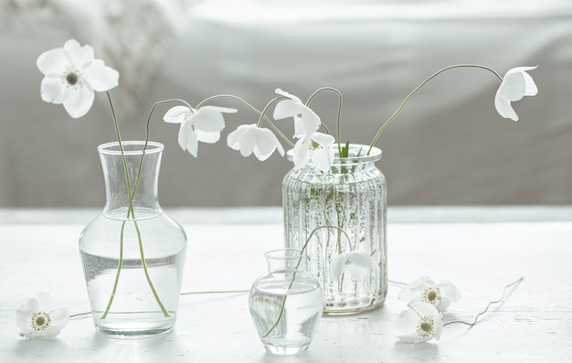 Free Photo composition with delicate spring flowers in glass vases