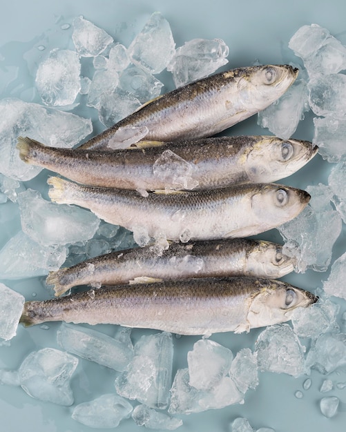 Composition with frozen fish on the table