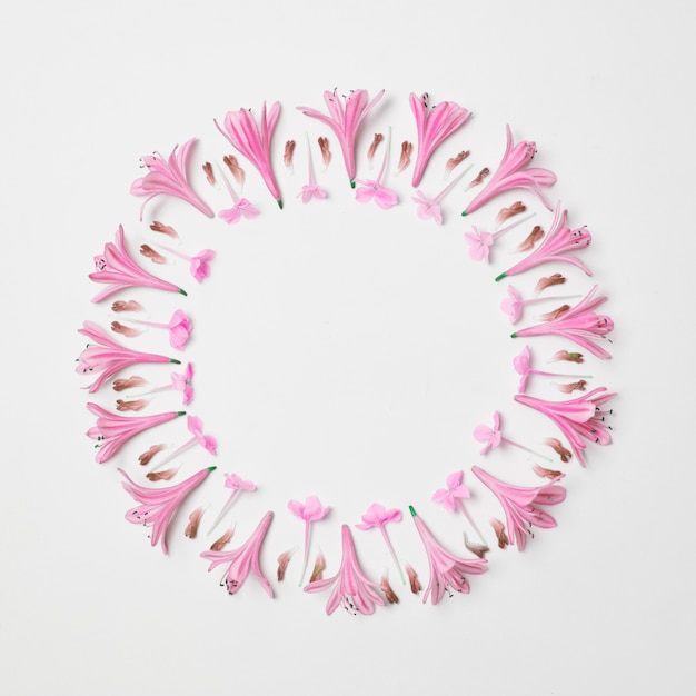 Free photo composition of wonderful pink flowers in form of circle