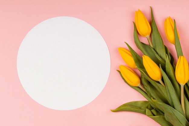 Composition of yellow tulips with empty card