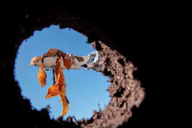 Free Photo compost still life concept