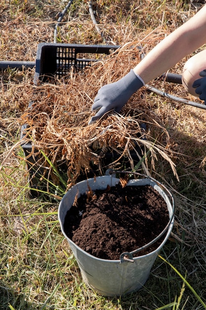 Free photo compost still life concept