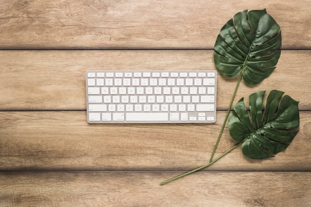 Free photo computer keyboard with green leafs