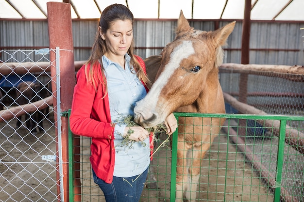 Concentrated woman feeding the horse