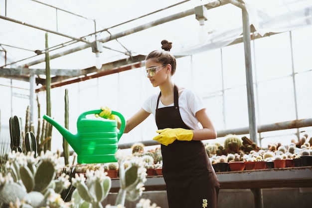 Concentrated young woman in glasses standing in greenhouse