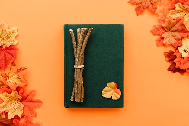 Concept flat lay in autumn leaves frame