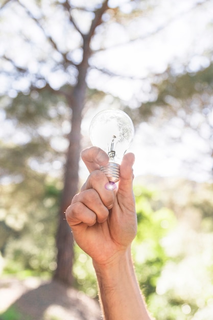 Concept hand holding glass bulb 