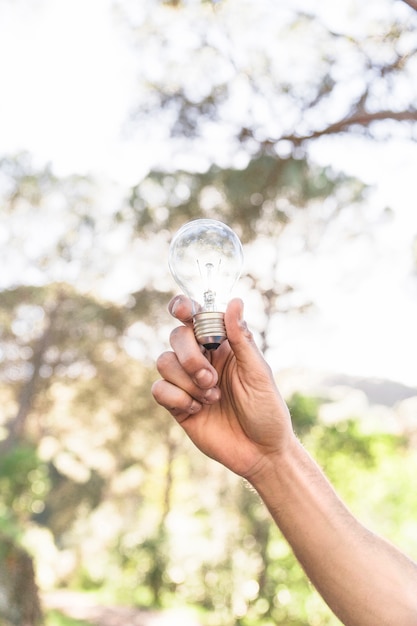 Concept hand with bulb against nature