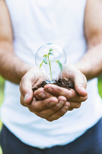 Free photo concept plant in glass bulb