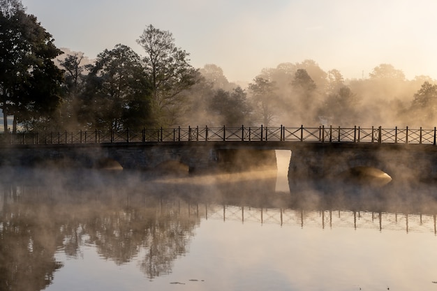 Concrete arch bridge over a lake surrounded by trees covered with fog