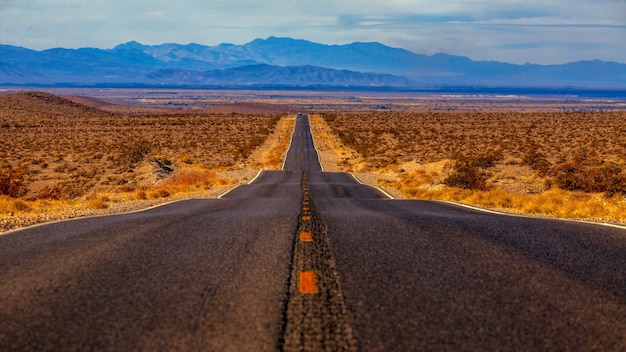 Free Photo concrete road surrounded by sands