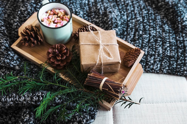 Free Photo cones and twig near present and hot chocolate on blanket