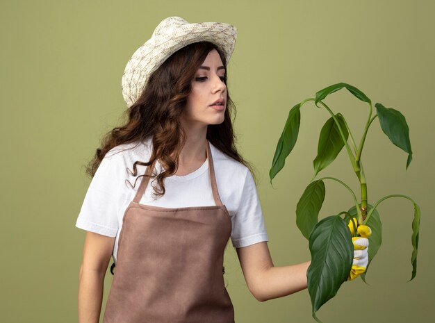 Confident young female gardener in uniform wearing gardening hat and gloves holds and looks at plant isolated on olive green wall with copy space