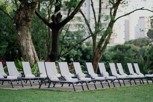 Free photo confortable loungers arranged in a row on a beautiful landscape